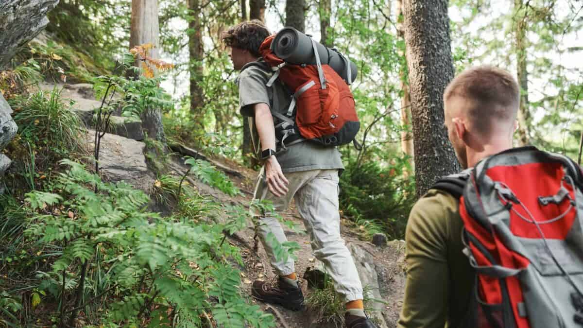 Rear view of young men with backpacks climbing steep cliff while hiking in mountains.