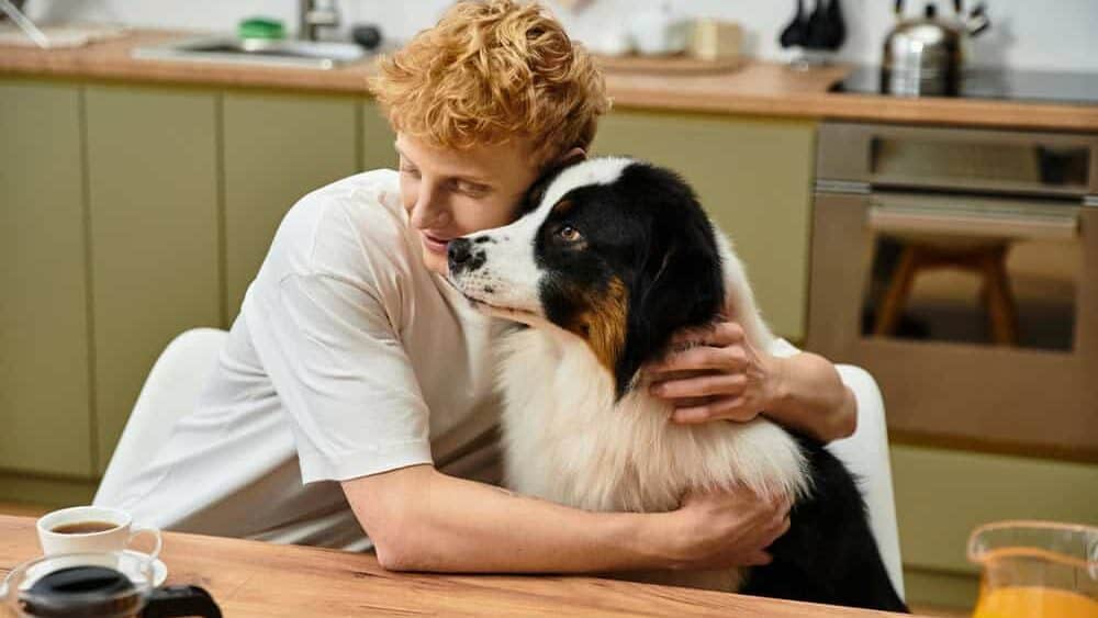 A young redhead shares a warm embrace with his Australian shepherd dog.