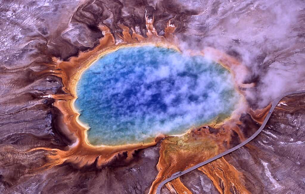 Hot Springs Microbes