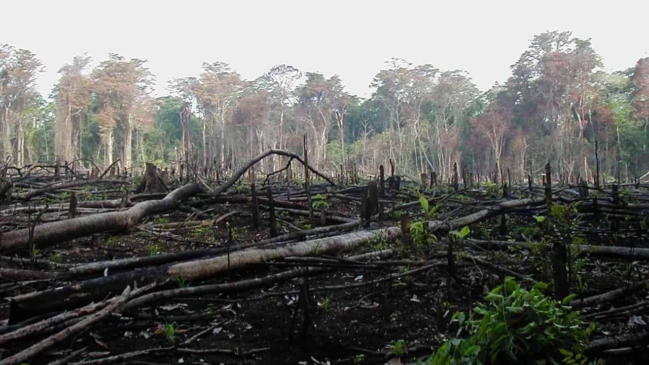 Habitat loss.