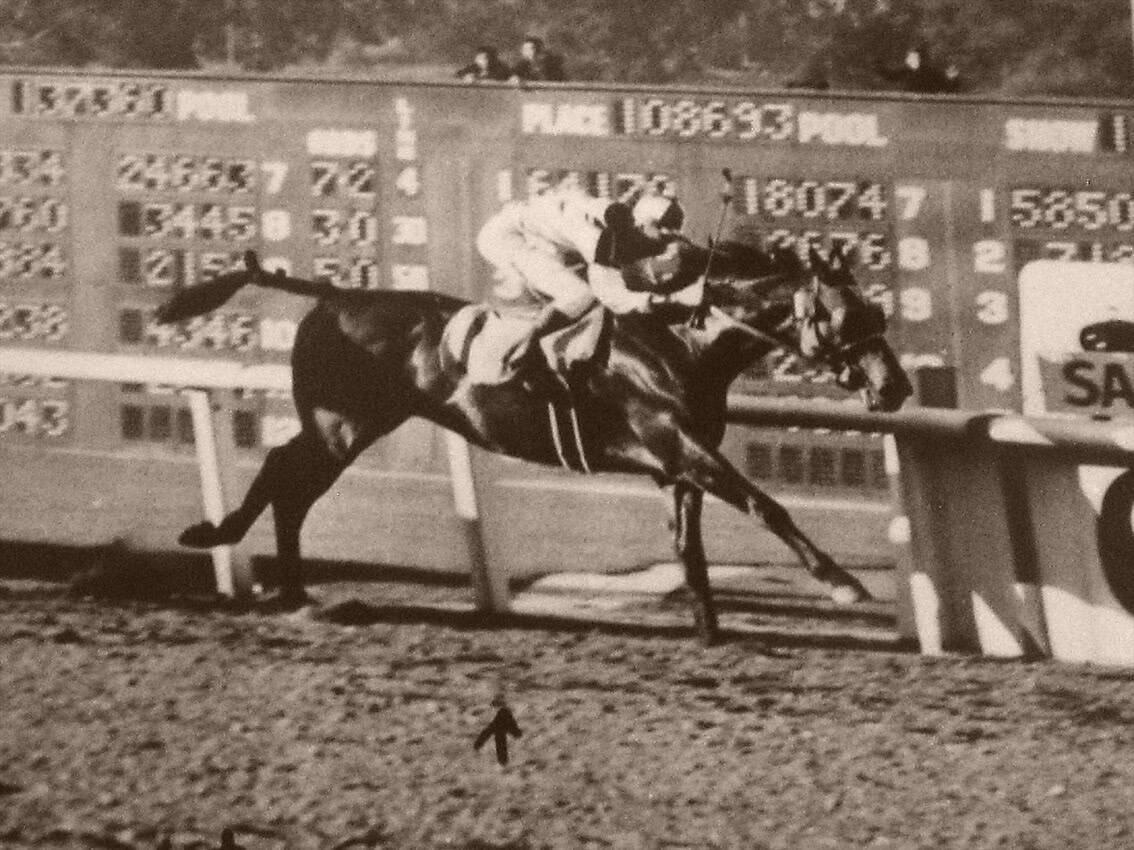 Seabiscuit