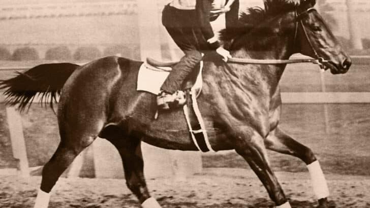 Seabiscuit: The Little Horse That Could Defy the Odds and Inspire a Nation