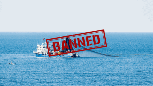 UK MPs Demand Ban on Bottom Trawling in Marine Protected Areas