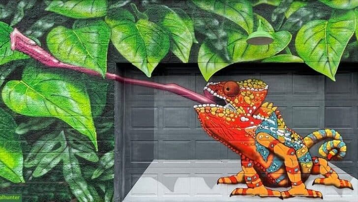 This Animal Can Change Color Faster Than a Chameleon