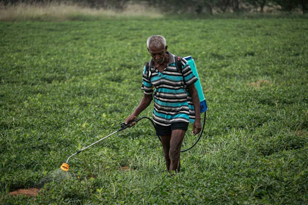 A woman walking through a lush green field