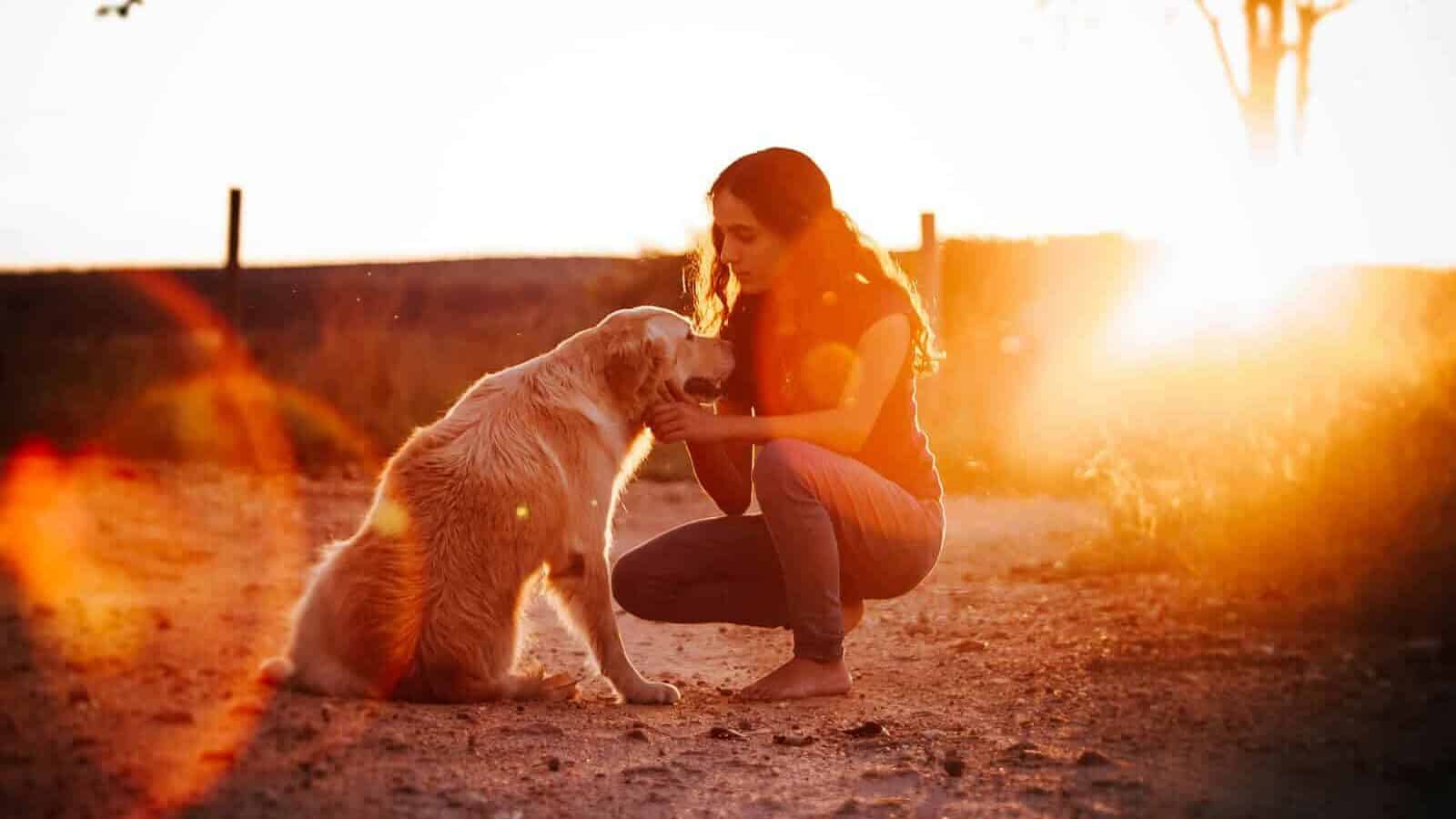 woman in orange shirt and black pants sitting on brown dirt during sunset