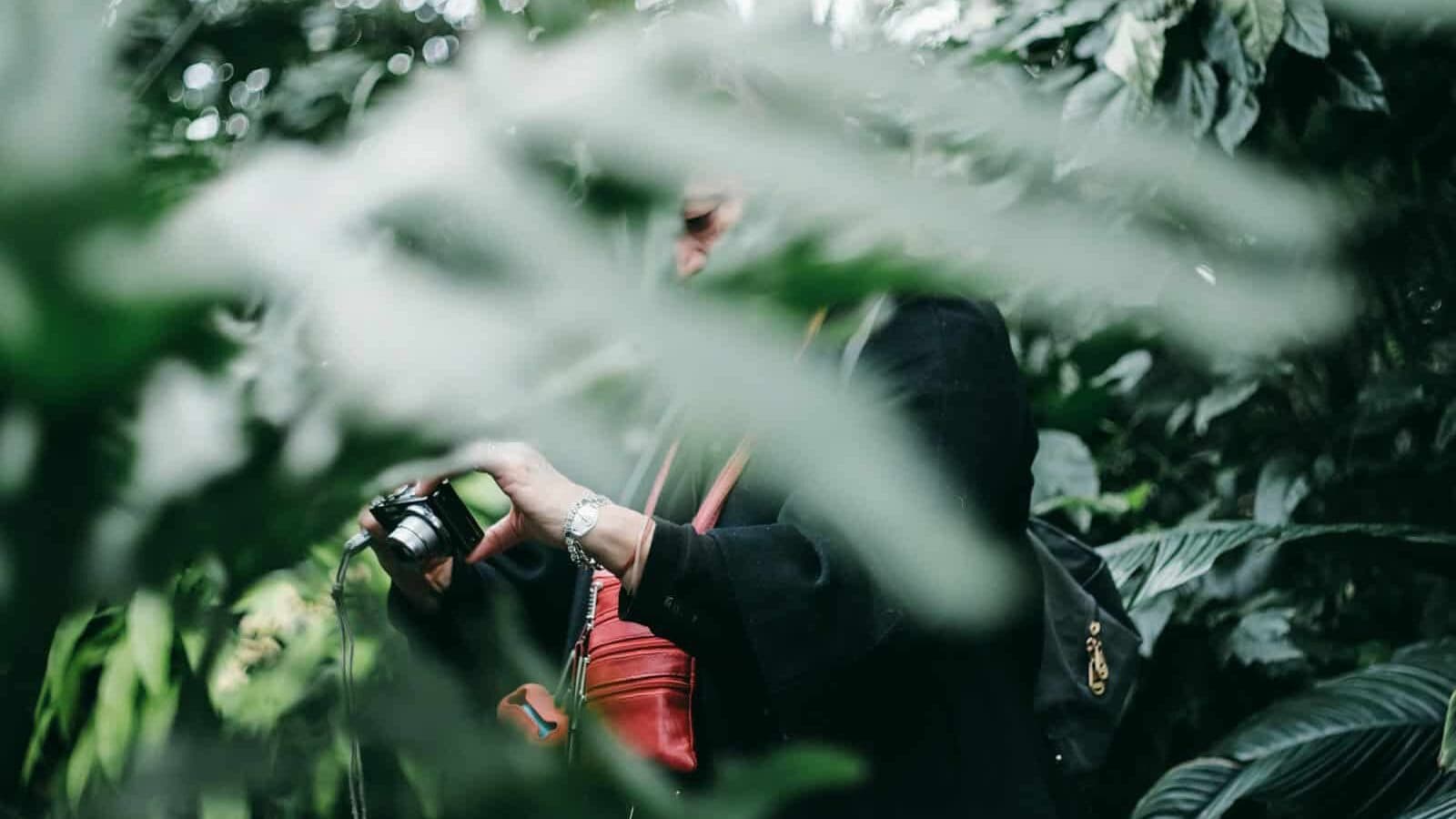 man wearing black jacket looking at black point-and-shoot camera surrounded by green trees during daytime