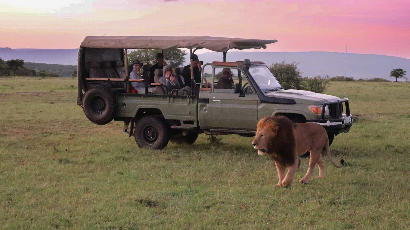 a group of people riding in the back of a truck