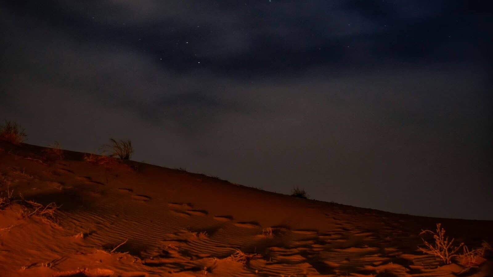 brown sand under starry night