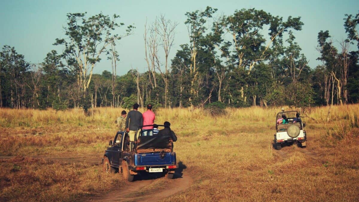 people riding on two white and blue SUV's near trees at daytime