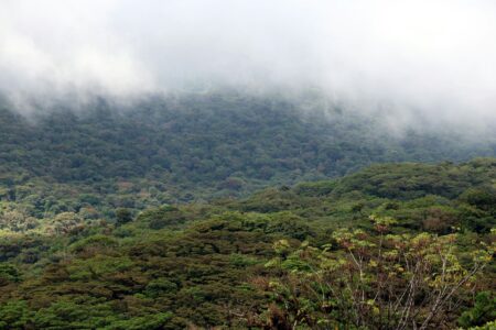 Top Jungle Treks for Spotting Jaguars and Tapirs