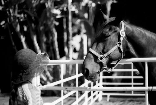Seabiscuit
