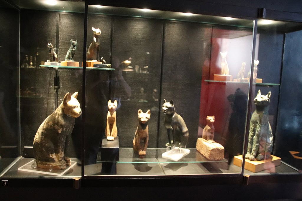 Egyptian Cat