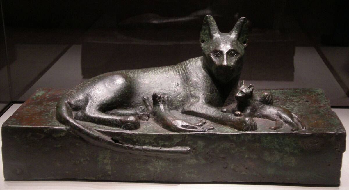 Egyptian Cat