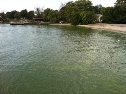 What’s Lurking in the Waters of the Great Lakes (Yes, Really!)