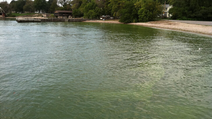 What’s Lurking in the Waters of the Great Lakes (Yes, Really!)