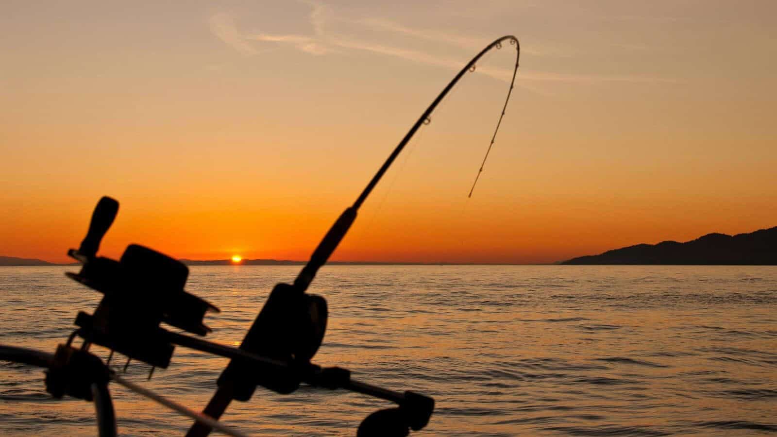 black fishing rod and body of water during golden hour