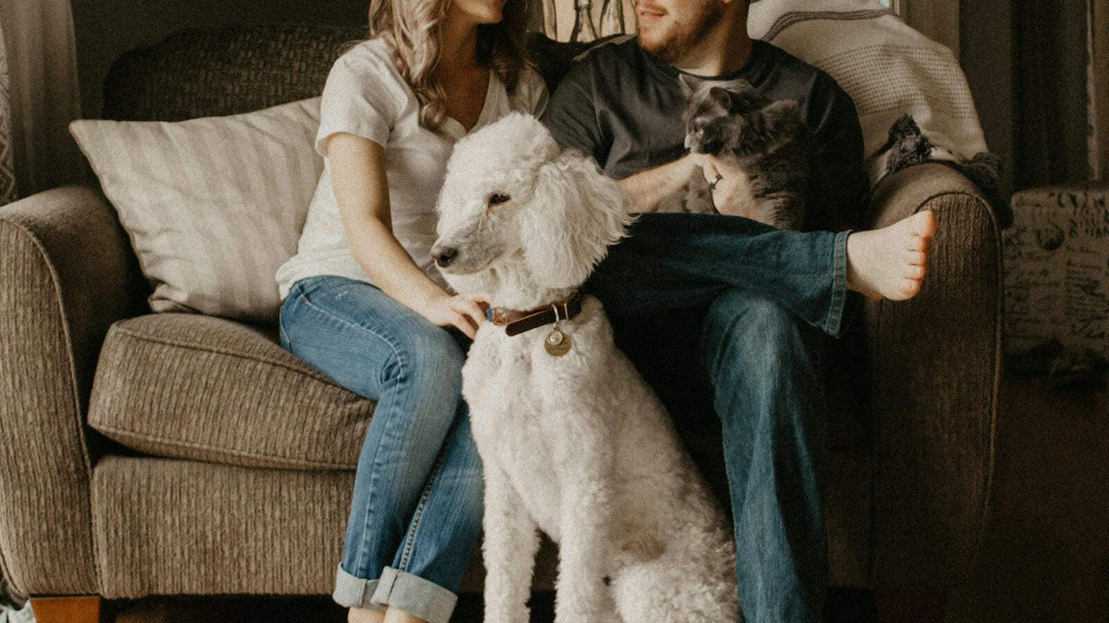 couple sitting on sofa beside dog inside room