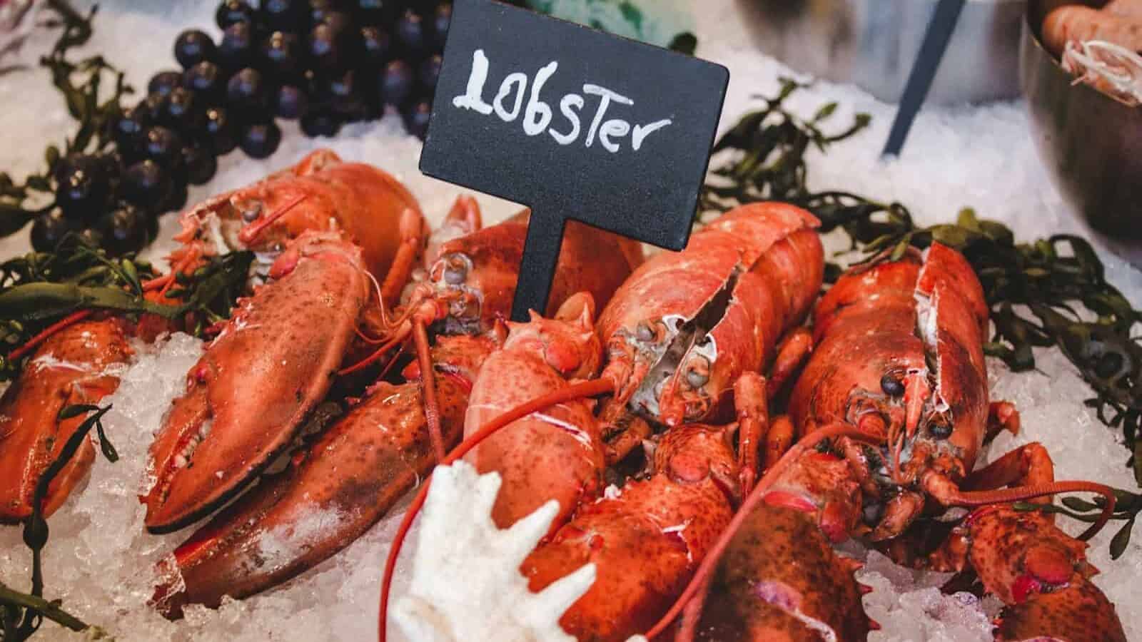 lobster on icy tray