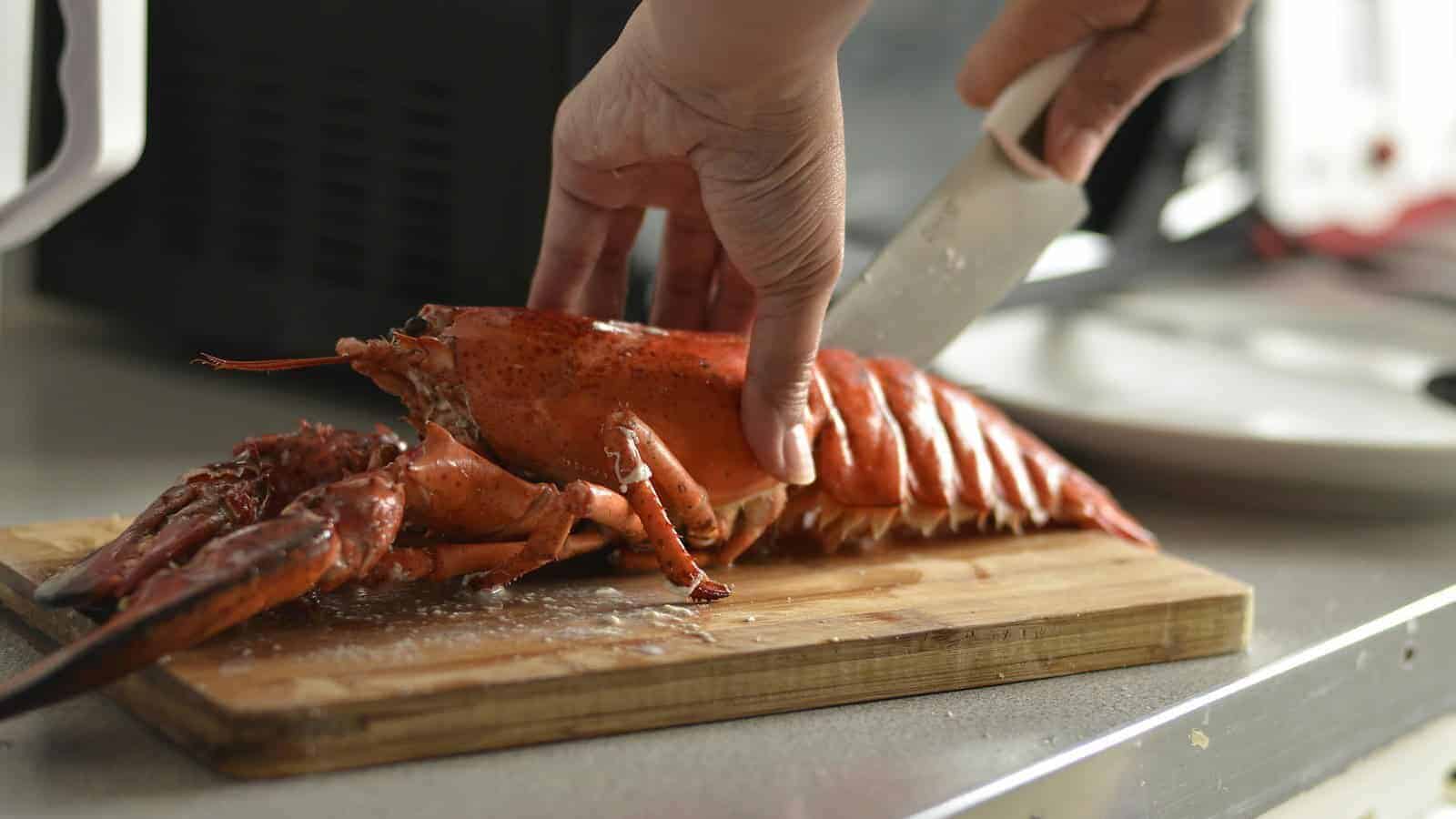 person cutting lobster