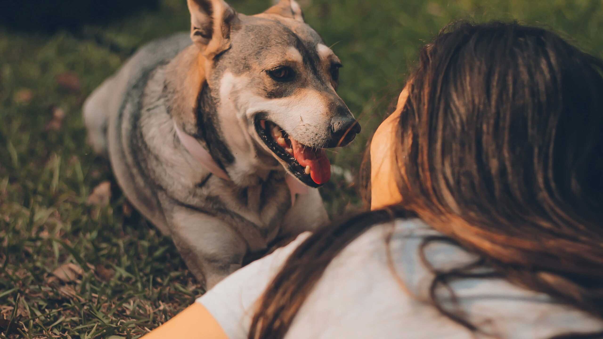 A woman and her pet dog lying on the grass.