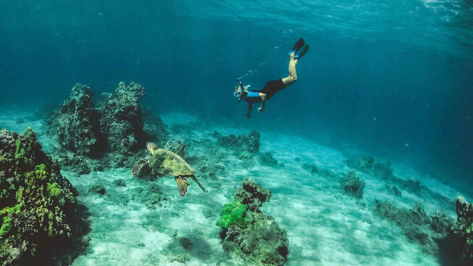 man in blue shorts diving on water