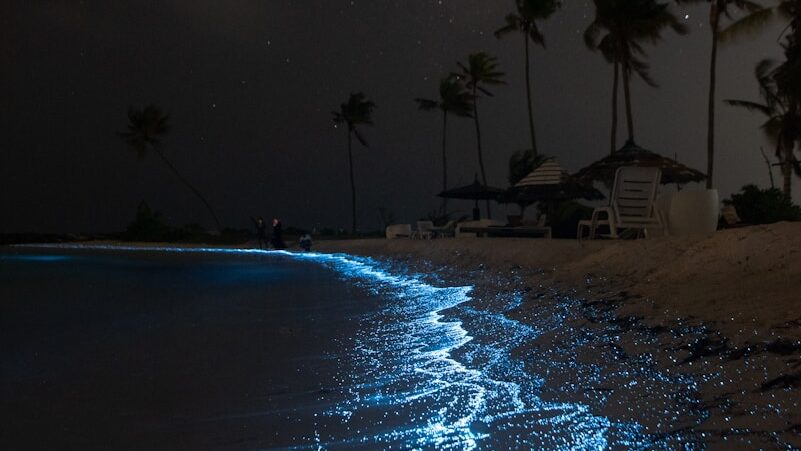 a beach that has some blue lights on it