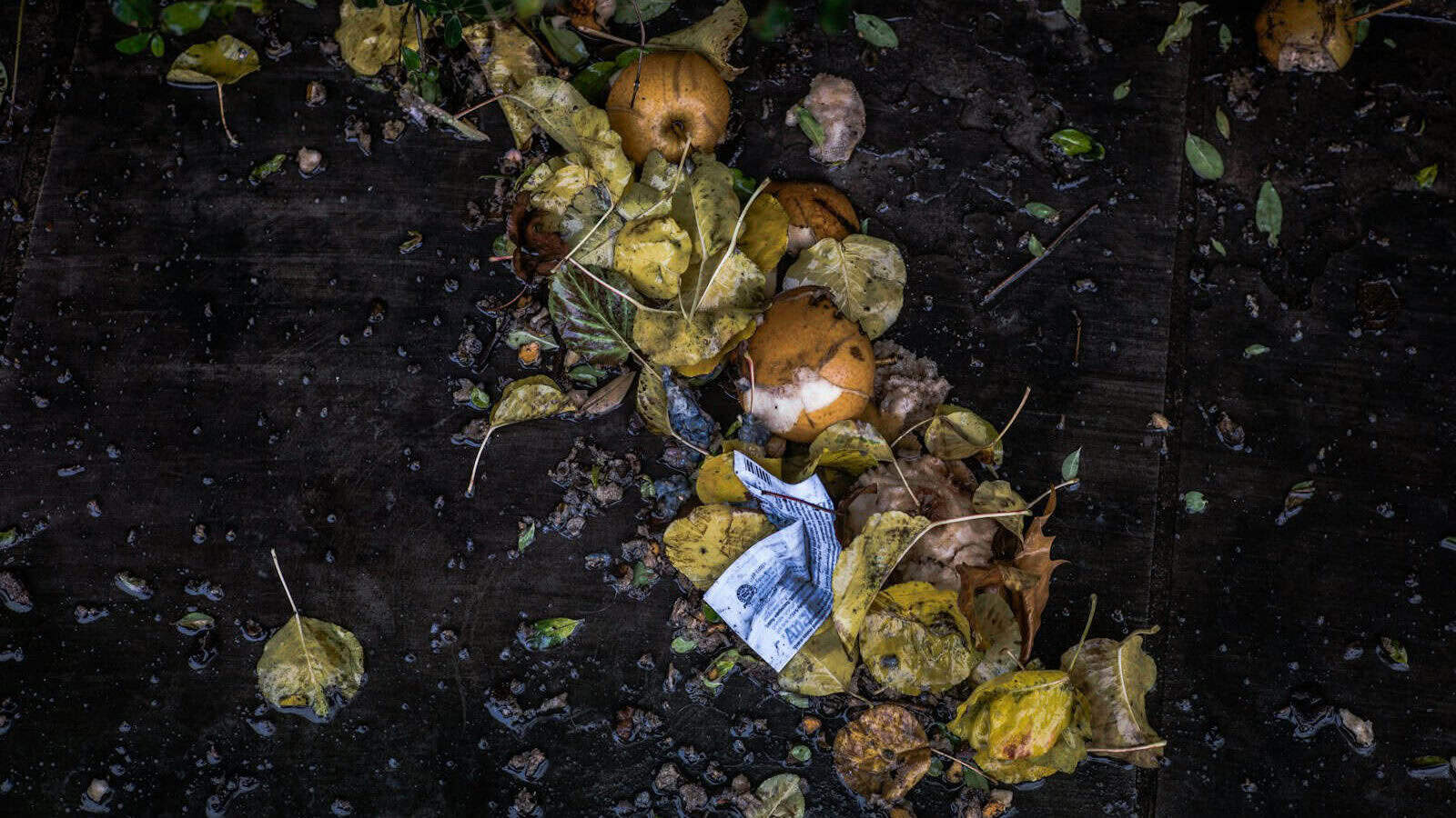 photo of leaves and fruits on black surface