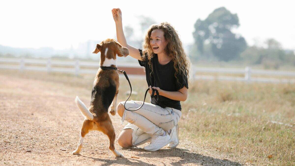 dog training
