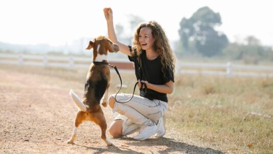 Dog Training Tips We Learned from Celebrity Experts