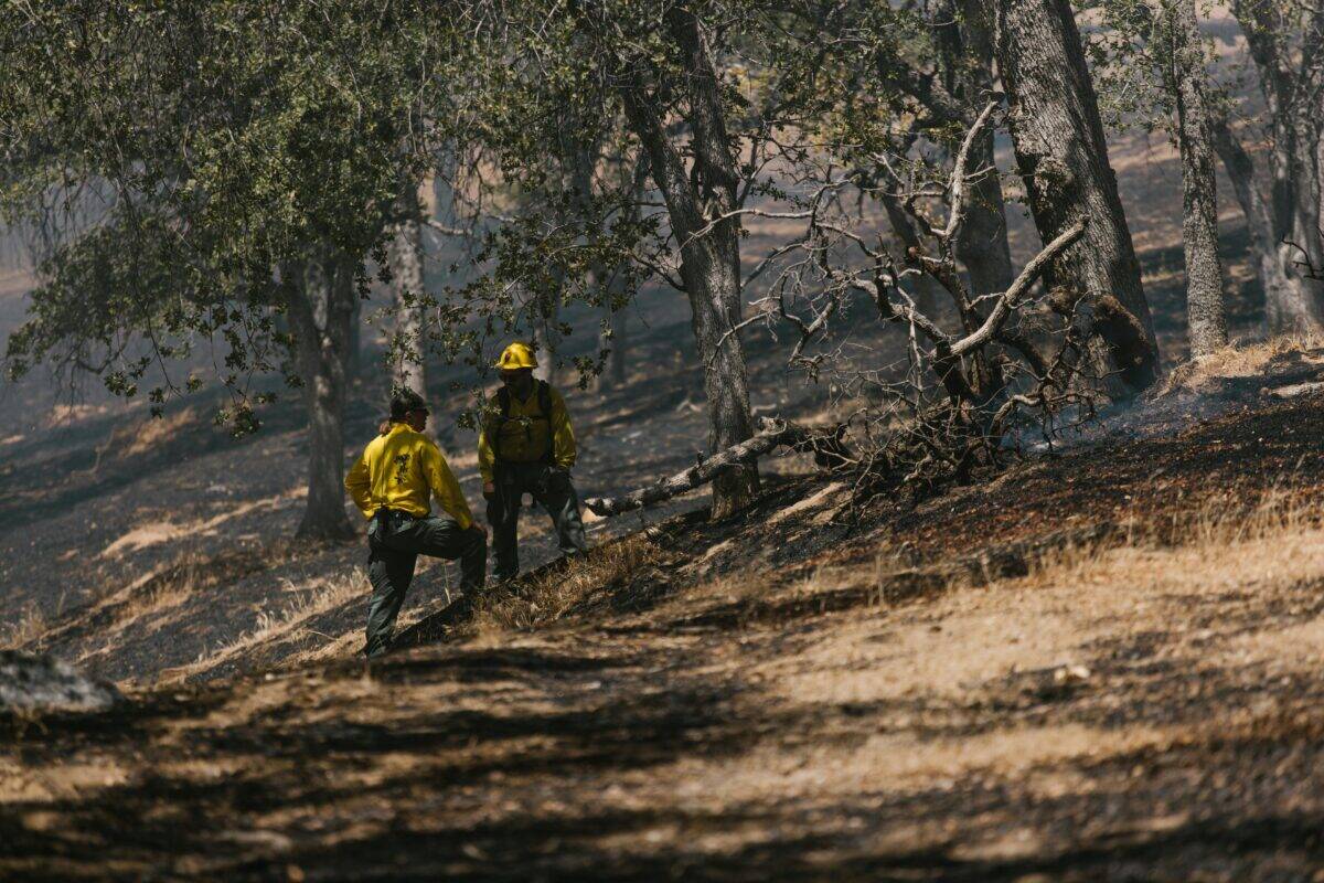 Firefighters putting out the fire.