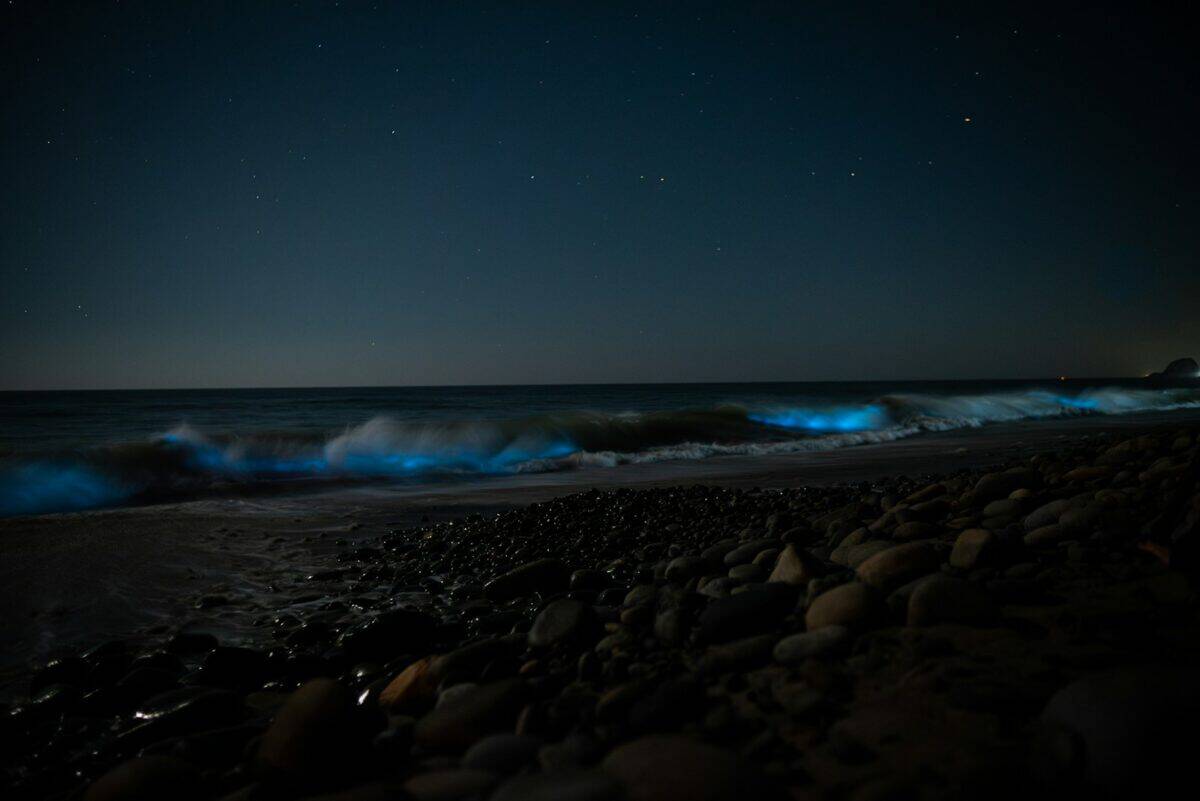 a night time view of the ocean and rocks