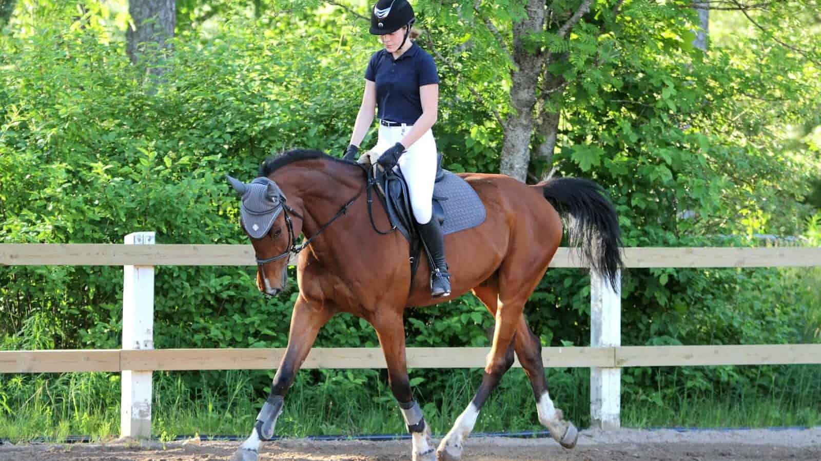 woman in white shirt riding brown horse during daytime