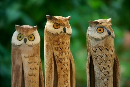 Why Owls Are Often a Sign of Wisdom in Mythology