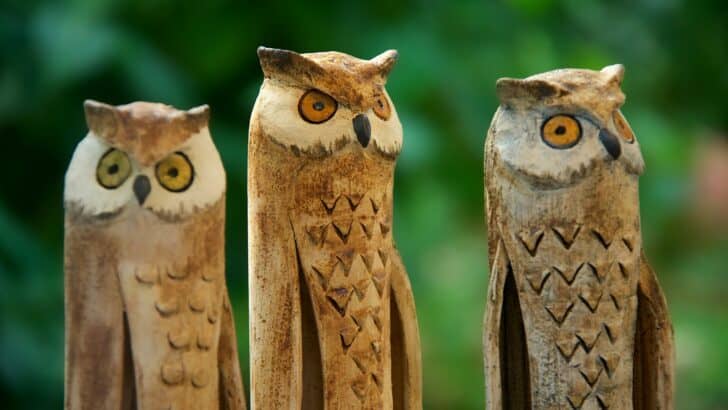Why Owls Are Often a Sign of Wisdom in Mythology