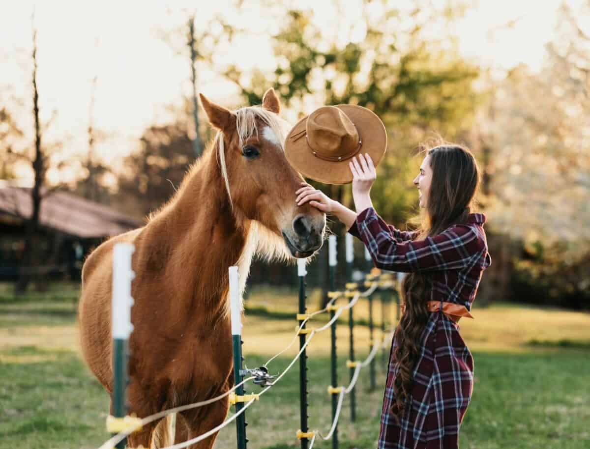 a woman petting a brown and white horse