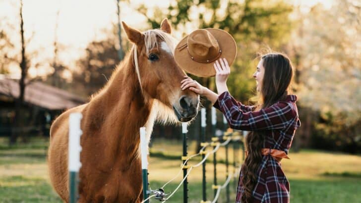The Role of Horses in Therapy and Mental Health