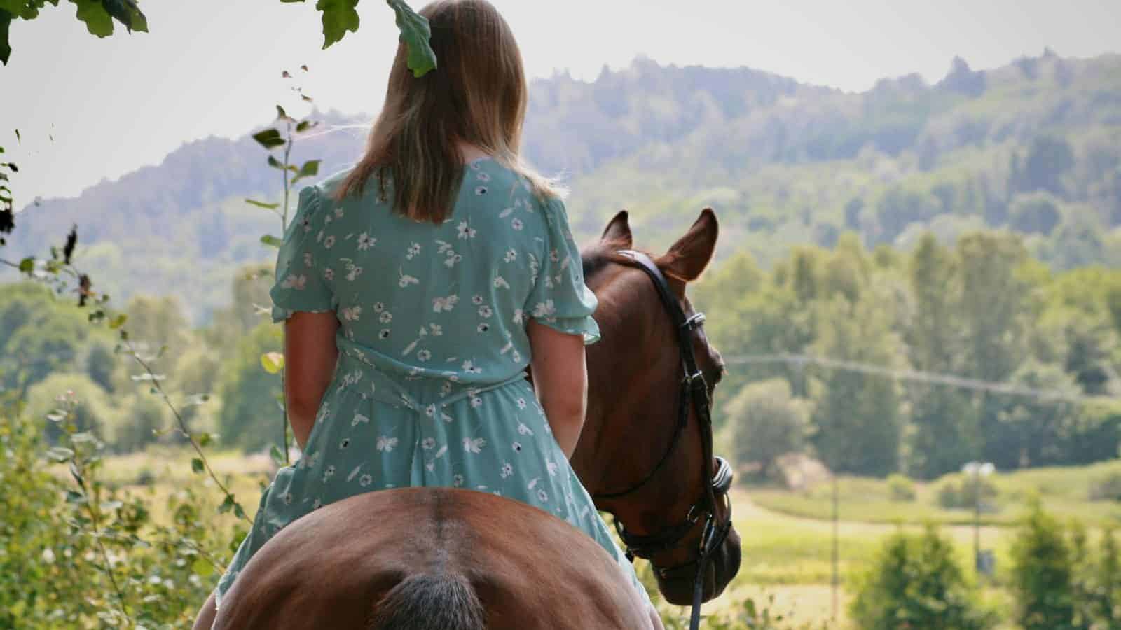 a young girl riding on the back of a brown horse