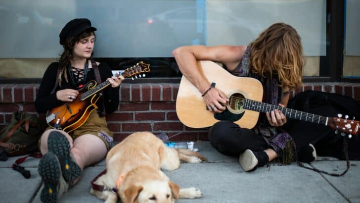 How Dogs React to Music And Which Genres They Like