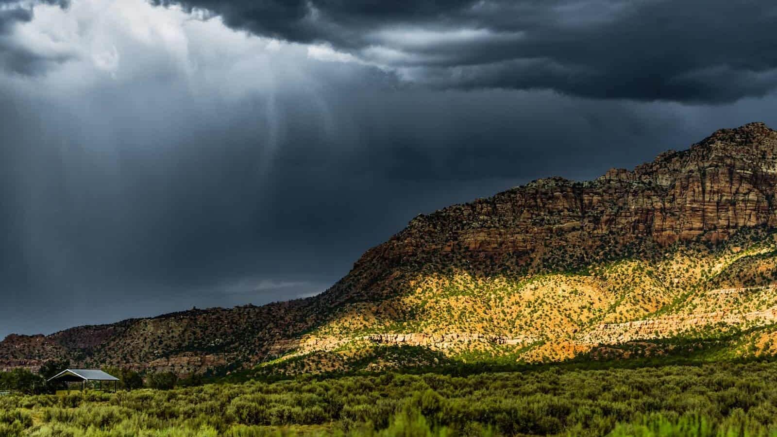 Summer thunderstorm