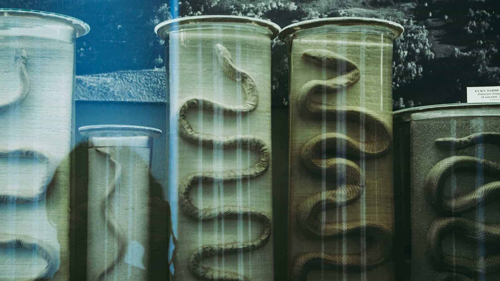 blue and white plastic container