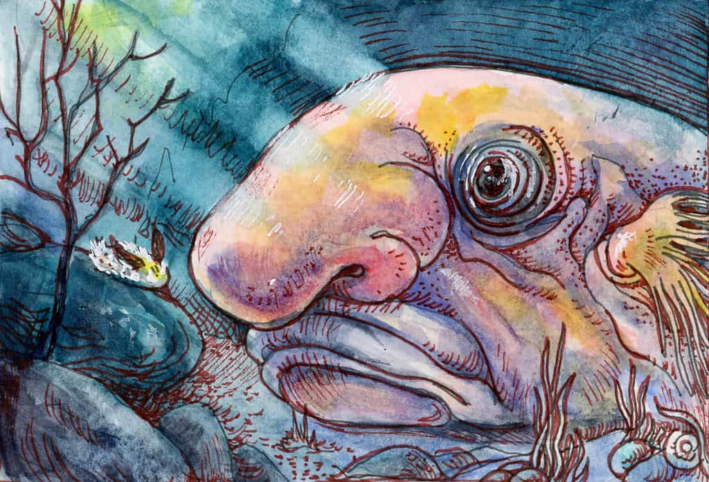 blobfish 