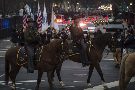 Army Horses Get a New Chapter After Decades of Service