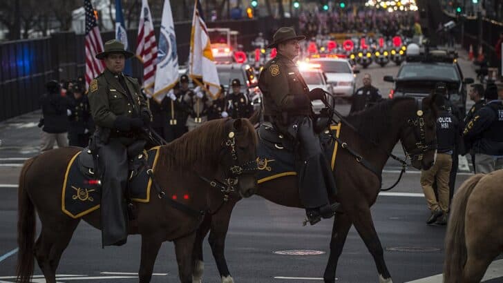 Army Horses Get a New Chapter After Decades of Service