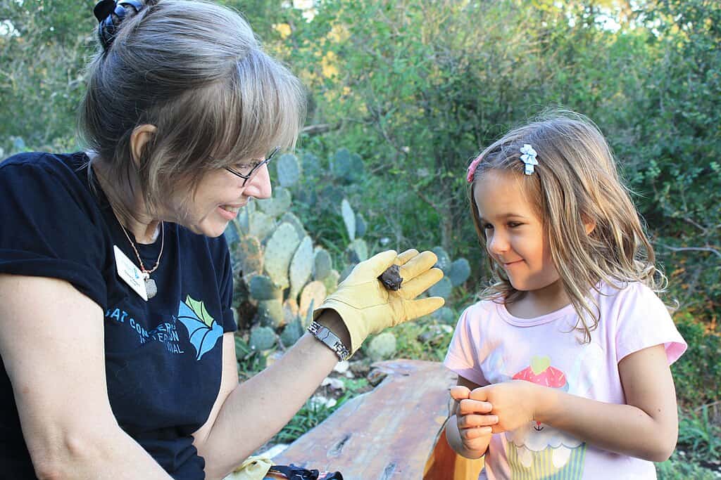 Future Outlook and Conservation Efforts