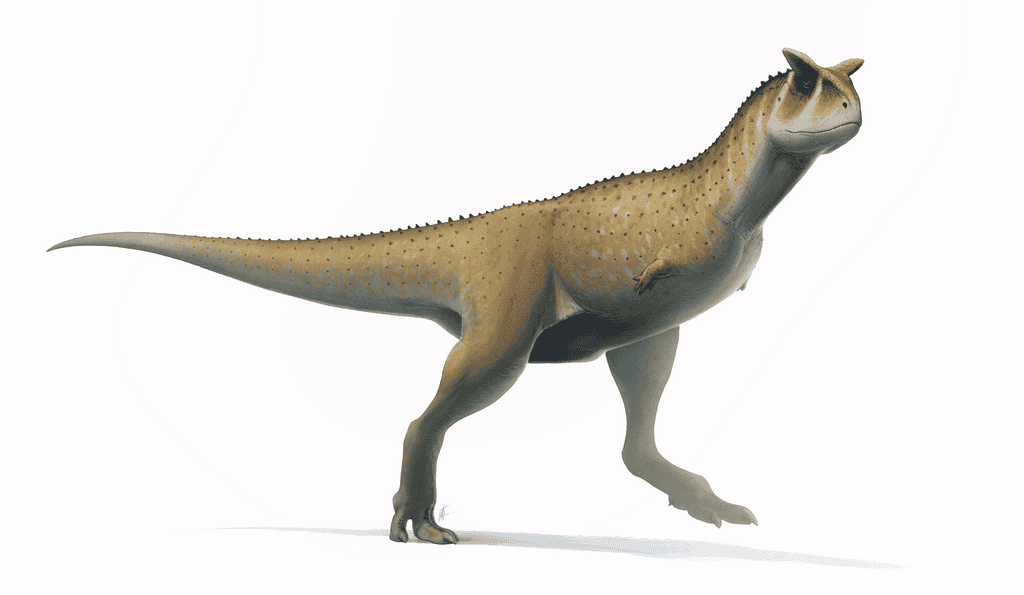 Carnotaurus: The Horned Demon with Tiny Arms