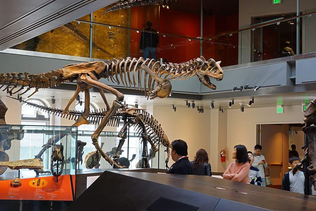 Carnotaurus: The Bull-Horned Speedster