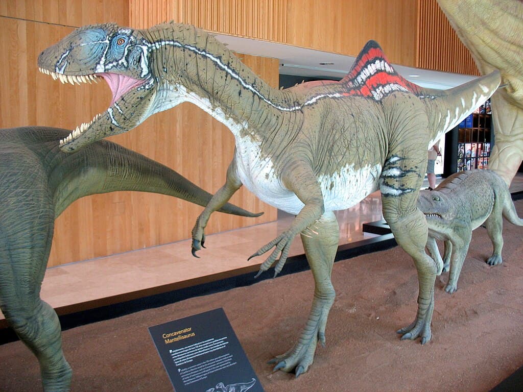 Concavenator: The Humped Hunter