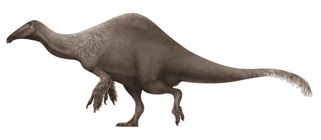 Deinocheirus: The Mystery Monster with Massive Arms