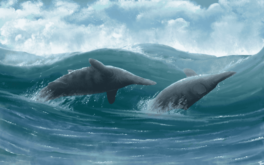 Evolutionary Innovations That Outlasted Them